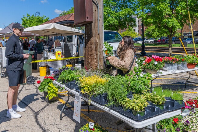 At the Downtown Downers Grove Farmers Market in Downers Grove.