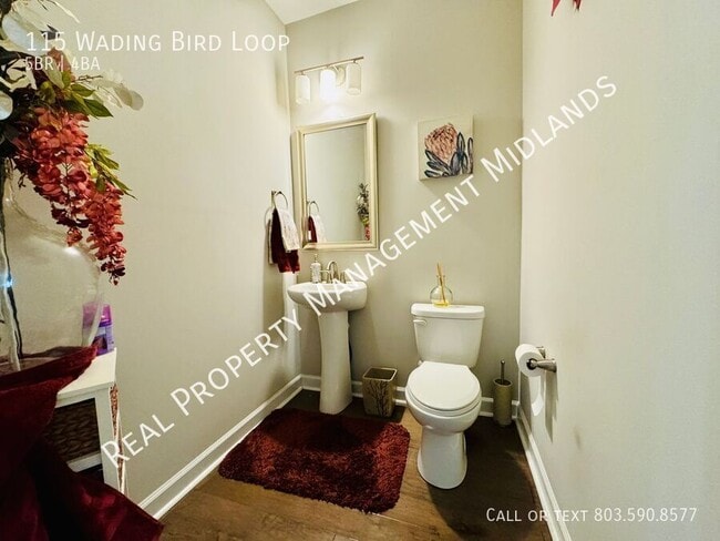 Foto del edificio - 115 Wading Bird Loop
