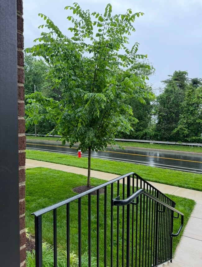 Building Photo - 4136 Legato Rd