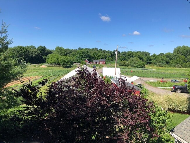 Photo - 46 Lowell St Apartment