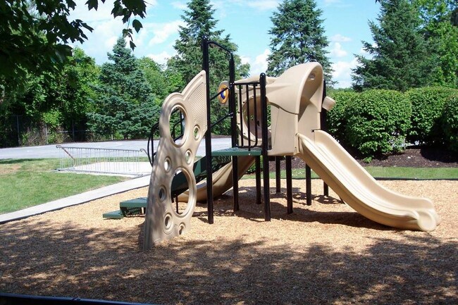 Playground - 1210 Hampton Hill Ct