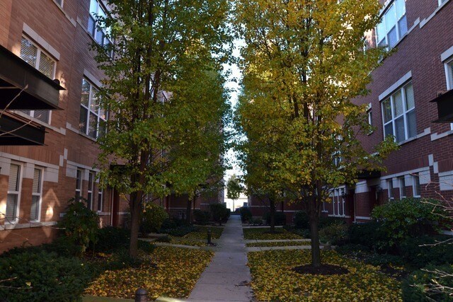 Foto del edificio - 531 Chicago Ave