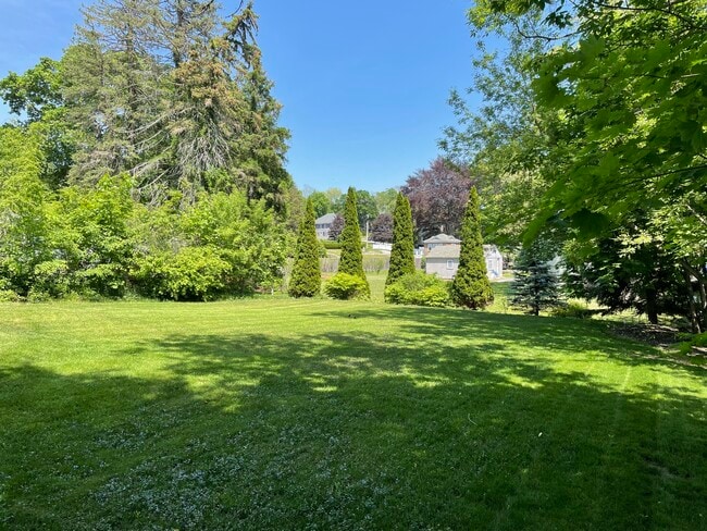 backyard - 465 Beacon St