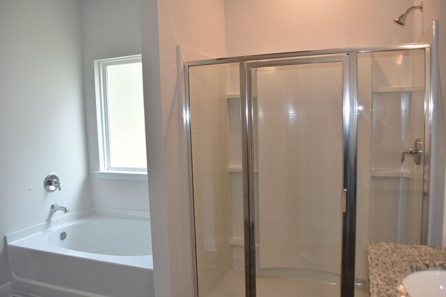 Foto del edificio - Brand New- 4 Bedroom 2 Bath in Santa Rosa ...