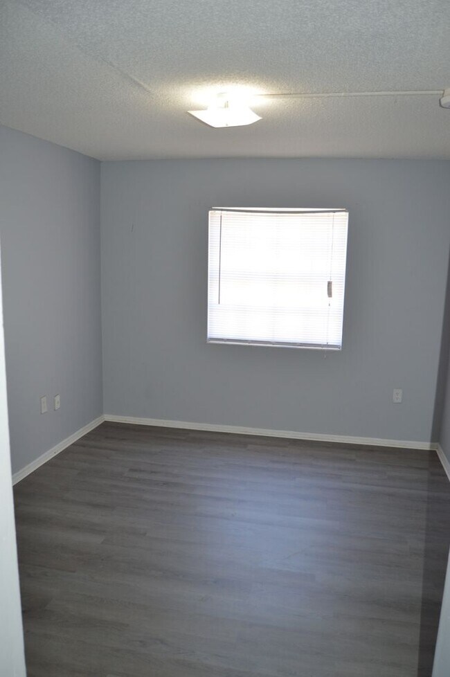 Foto del edificio - Spacious Studio in Maitland!