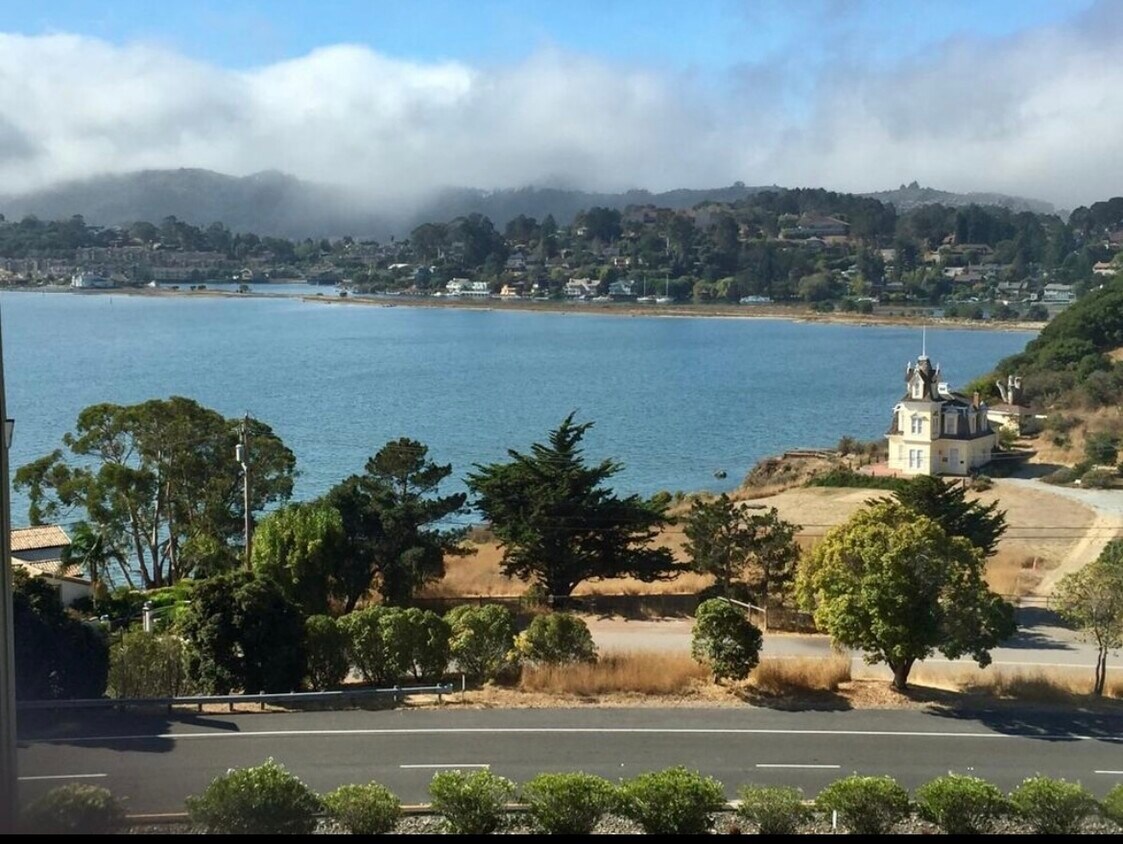 16 Way Unit 158, Tiburon, CA 94920 Condo for Rent in Tiburon