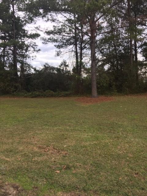 Foto del edificio - 6010 B Susan Circle