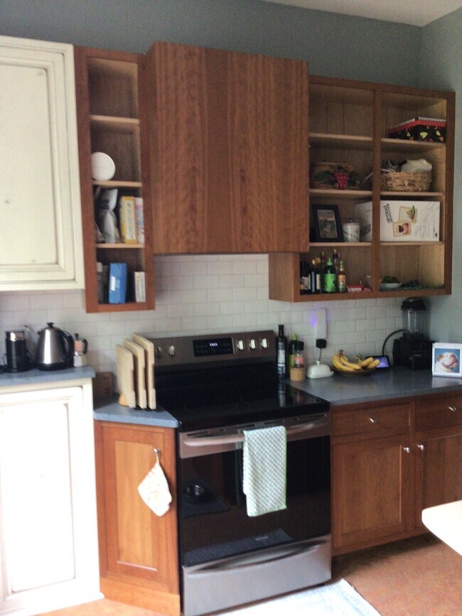 kitchen range wall - 212 S Albany St