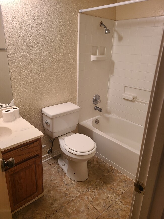 Guest Bathroom - 203 W Trinity St