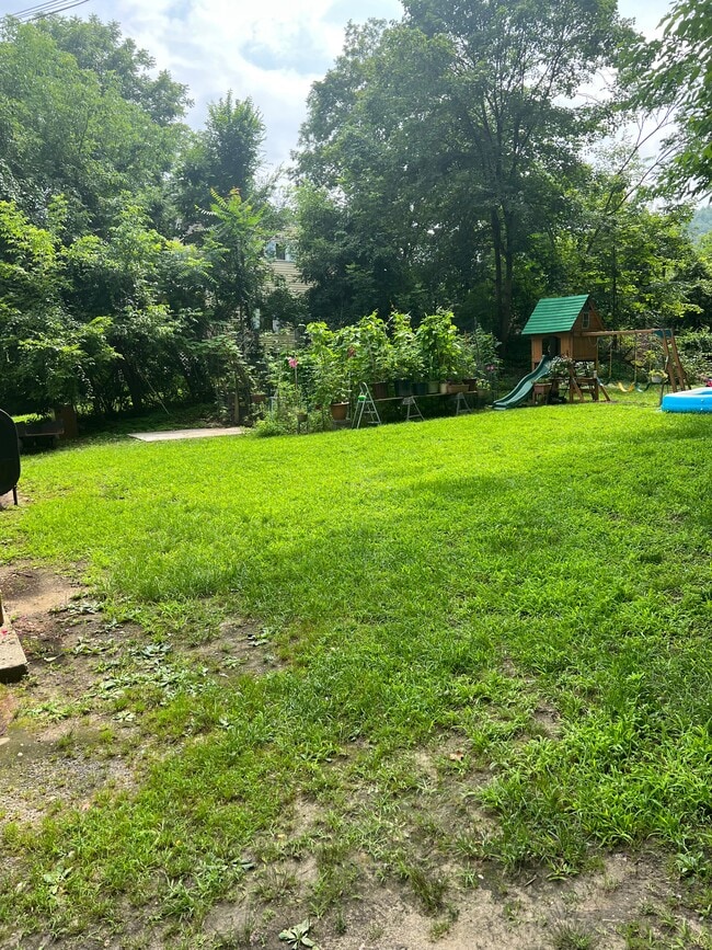 Backyard - 5 River Rd