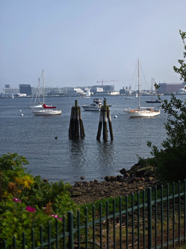 Photo - 50 Jeffries St Apartment