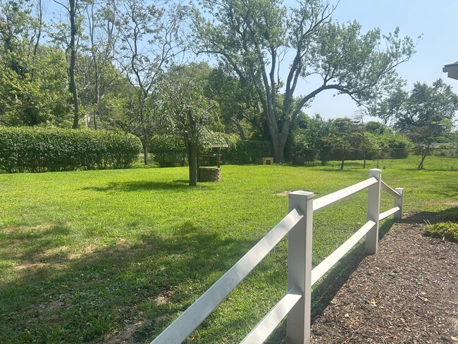 Side Yard - 57 Brook St