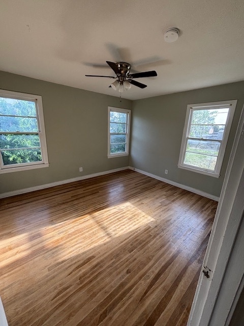 Building Photo - 818 S Bowie Dr