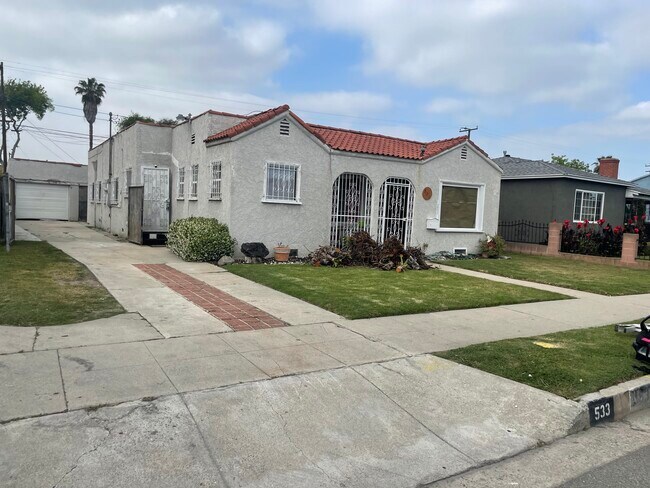 SIDE VIEW - 533 W Palmer St