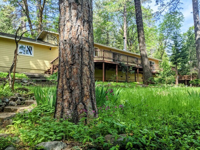 Building Photo - 11788 Forest View Dr