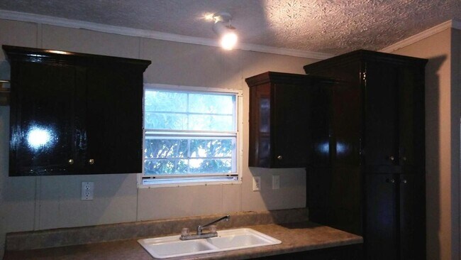 Building Photo - 4bed 2bath manufactured home with large yard