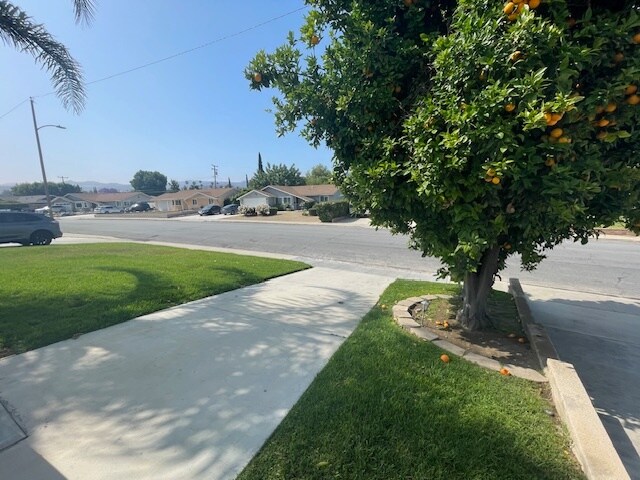 driveway - 2615 Elizondo Ave