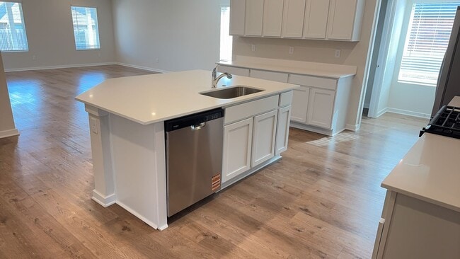 Building Photo - Brand New 4 Bedroom 2 Bath Home in Mustang Schools