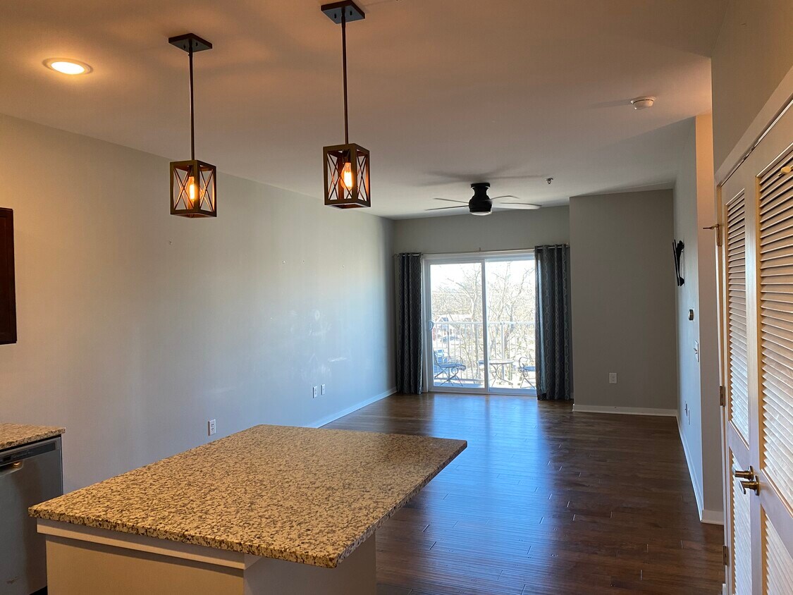 Living Room + Balcony (Daytime) - 1118 Litton Ave