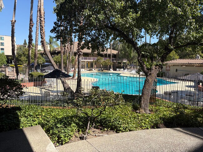 Piscina principal con zona de barbacoa - 350 N Civic Dr