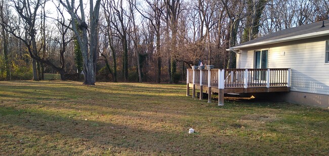 Patio trasero - 211 Ash Ln