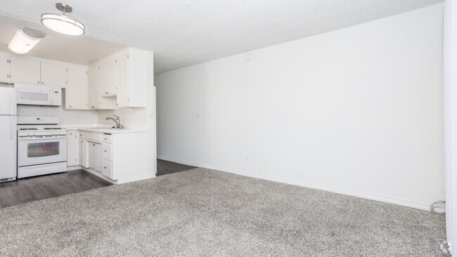 Studio 465-520 SF - Mitchell Arms Apts.