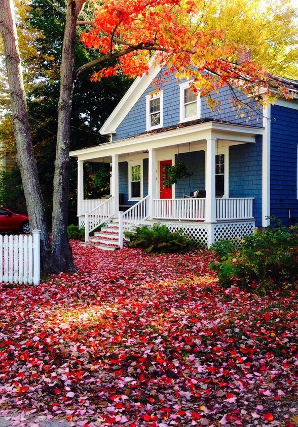 Foto principal - Charming 2 Bed 1 Bath