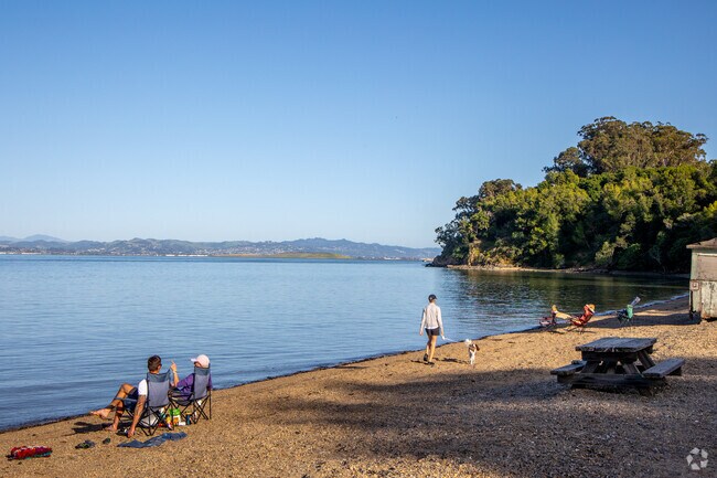 Families enjoy the sun at China Camp State Park.