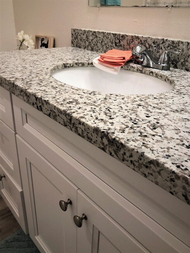 Building Photo - Newly Renovated-No deposit+first 4 weeks FREE