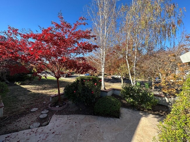 Foto del edificio - LOS GATOS - Beautifully upgraded property in desirable Los Gatos location, Los Gatos Schools