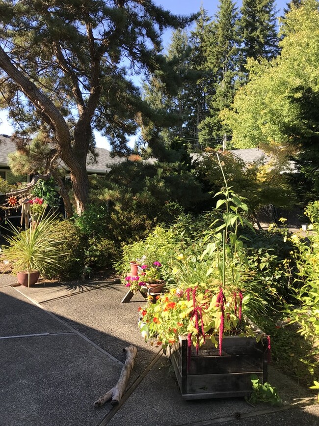 Courtyard - 172 Fairway Dr