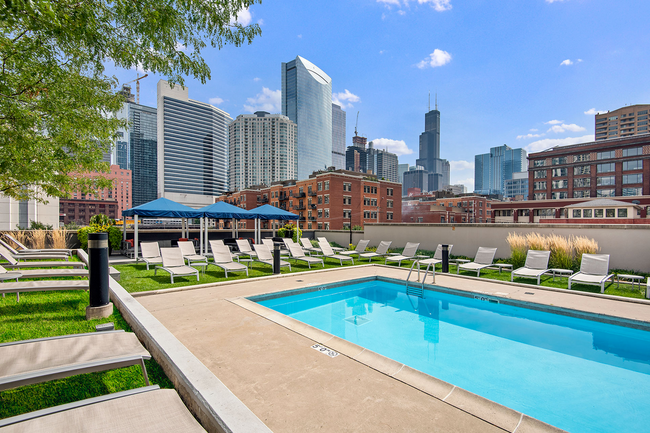 Piscina - Echelon Chicago