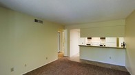 This single-floor space features an open-concept layout that connects the living area to the kitchen, creating a functional and cohesive floor plan. The living area is finished with wall-to-wall carpeting in a neutral tone, providing a comfortable and understated foundation. Warm, light-yellow walls run throughout, contributing to a bright and welcoming atmosphere. A textured popcorn ceiling with a central HVAC vent ensures climate control throughout the space.

The kitchen is accessible via a raised pass-through counter with a dark laminate surface, offering a convenient bar-style interface between the two areas. Inside the kitchen, white appliances are visible, including what appears to be an electric range, complemented by under-cabinet lighting that illuminates the workspace. The kitchen transitions to tile or hard flooring, distinguishing it from the carpeted living space.

A hallway visible from the living area leads to additional rooms beyond, suggesting a practical layout designed for ease of movement. Overall, the space presents a clean, no-frills design with a functional open floor plan suited for everyday living.