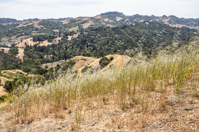 Moraga is a beautiful city surrounded by nature and rolling hills in all directions.