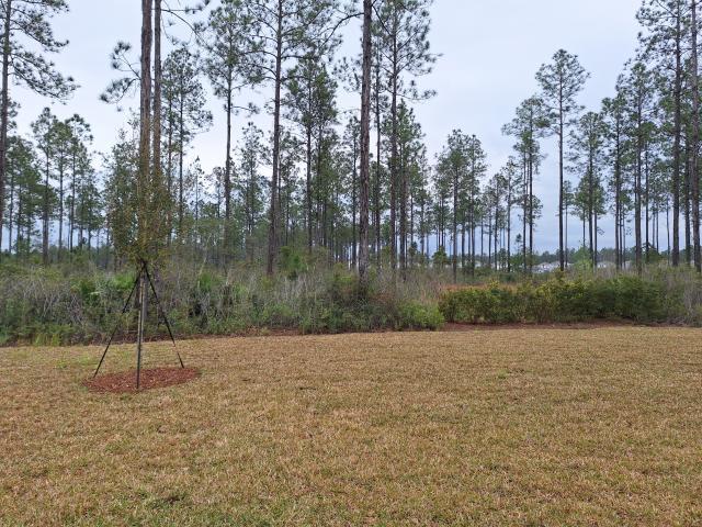 Building Photo - 3 bedroom in St. Augustine FL 32092