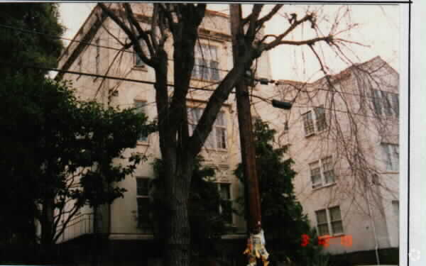 Building Photo - Toyon Court