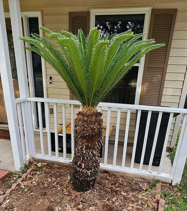 Foto del edificio - Charming 3BR House in Covington