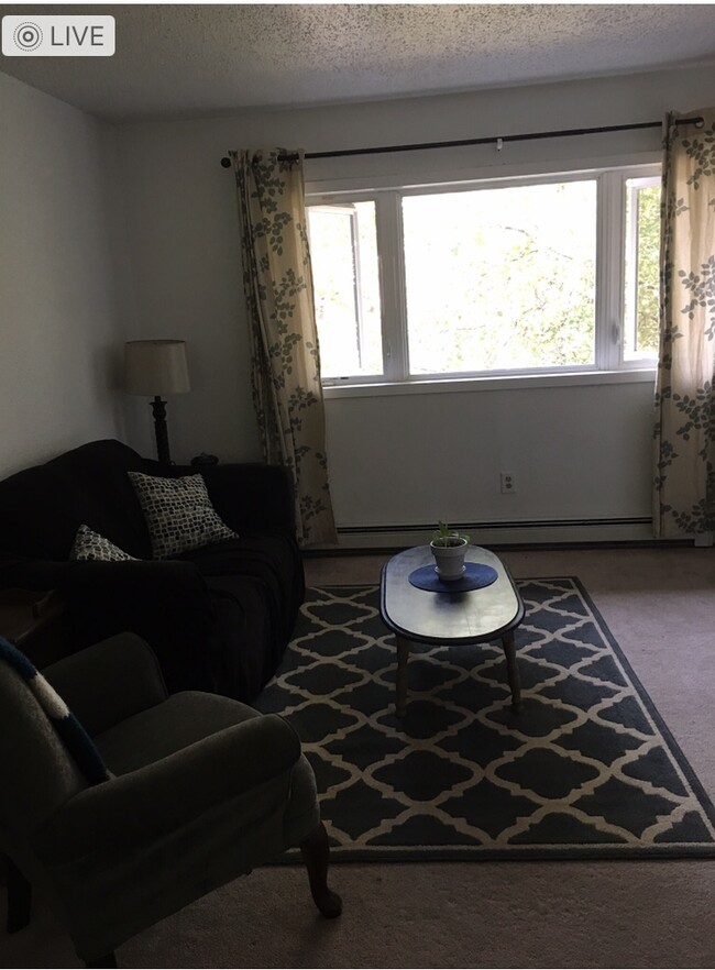 Partially furnished living room - 2354 Badger Rd