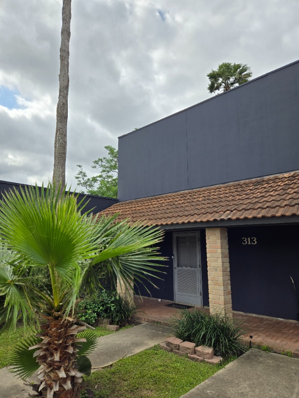 Building Photo - 313 Bolivar Ave