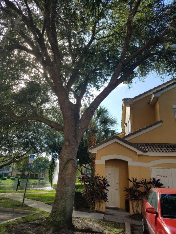 Foto del edificio - 19914 Villa Creek Dr