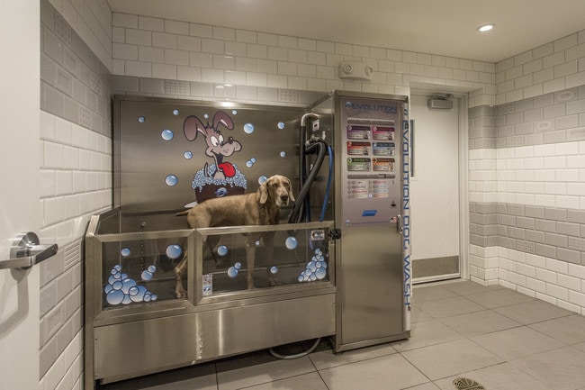 Pet Spa - Beach House Apartments