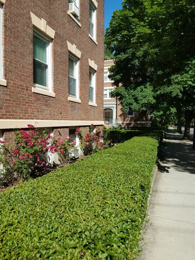 Foto del edificio - 51 Manchester Rd