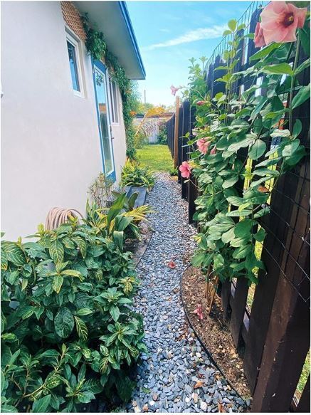 Entrance walkway/ Garden - 2458 Arthur St