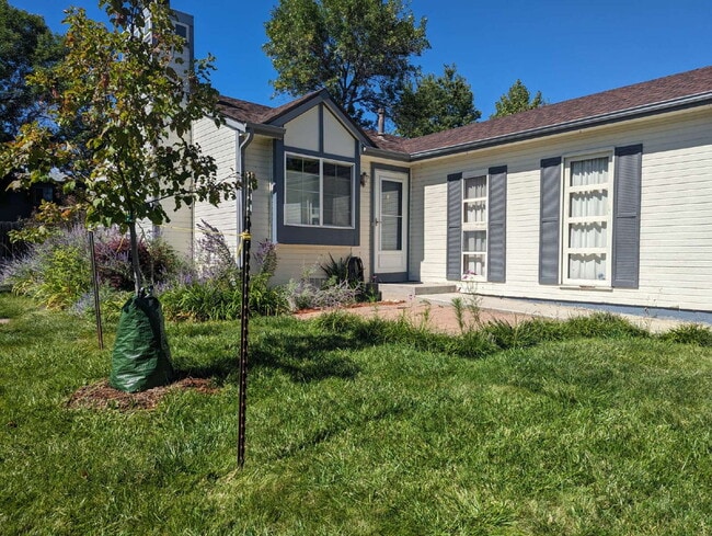 NW Longmont ranch home! - NW Longmont ranch home!
