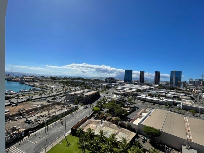 Building Photo - Brand NEW! Koula Studio