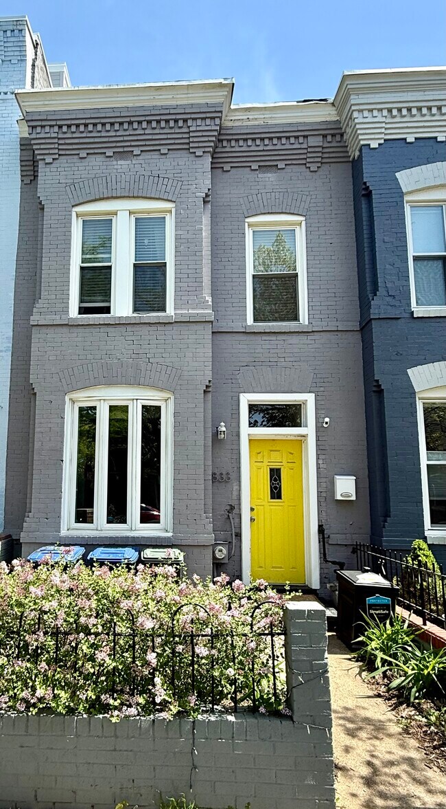 Hermosos arbustos de lilas - 833 6th St NE