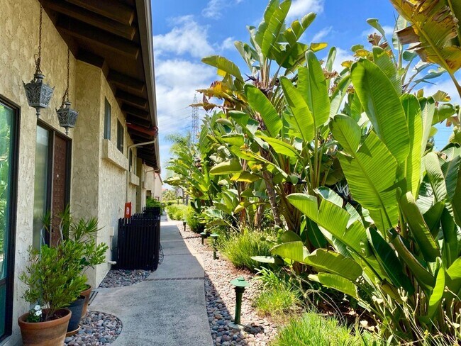 Foto del edificio - FOR RENT 1Br/1.5Ba 1,207SF Comfortable Two...
