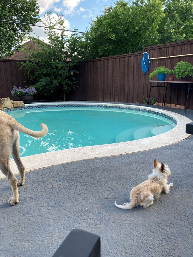 5616 Painter St, The Colony, TX 75056 House Rental in The Colony, TX