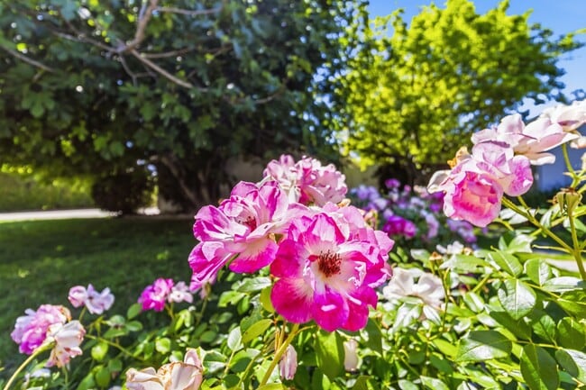 Foto del edificio - 23020 Haynes St