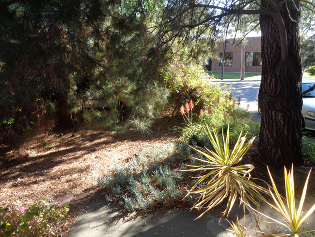 Building Photo - 2140 Canoas Garden Ave